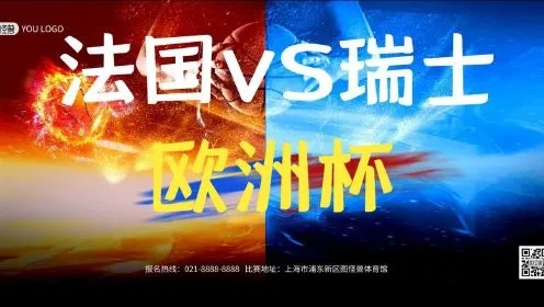 04欧洲杯法国vs瑞士6 精彩对决法国vs瑞士